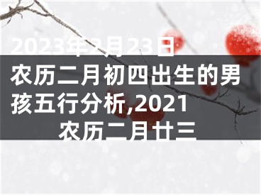 2023年2月23日农历二月初四出生的男孩五行分析,2021农历二月廿三