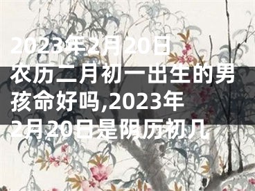 2023年2月20日农历二月初一出生的男孩命好吗,2023年2月20日是阴历初几