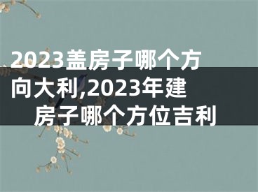 2023盖房子哪个方向大利,2023年建房子哪个方位吉利