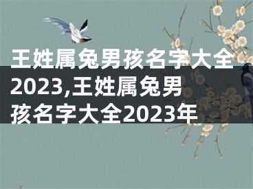 王姓属兔男孩名字大全2023,王姓属兔男孩名字大全2023年