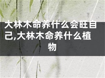 大林木命养什么会旺自己,大林木命养什么植物