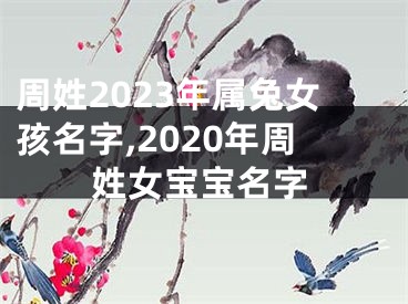 周姓2023年属兔女孩名字,2020年周姓女宝宝名字