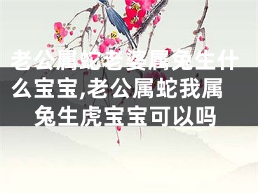 老公属蛇老婆属兔生什么宝宝,老公属蛇我属兔生虎宝宝可以吗