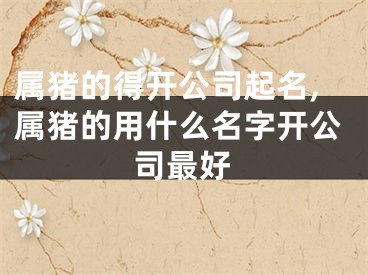 属猪的得开公司起名,属猪的用什么名字开公司最好