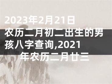 2023年2月21日农历二月初二出生的男孩八字查询,2021年农历二月廿三