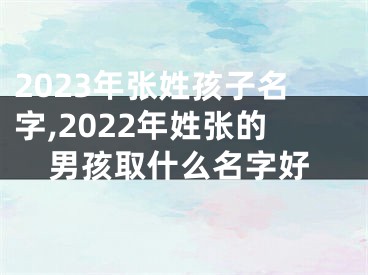 2023年张姓孩子名字,2022年姓张的男孩取什么名字好