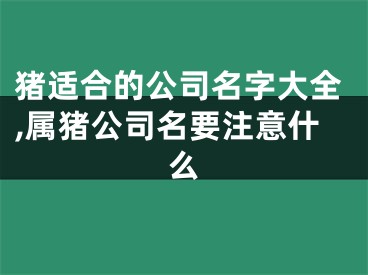 猪适合的公司名字大全,属猪公司名要注意什么