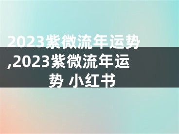 2023紫微流年运势,2023紫微流年运势 小红书