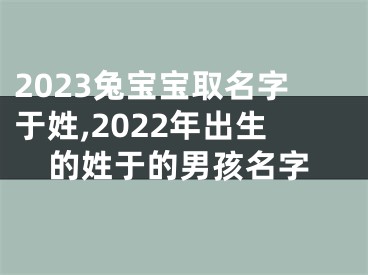 2023兔宝宝取名字于姓,2022年出生的姓于的男孩名字