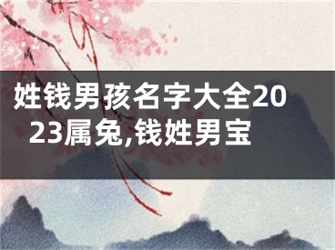 姓钱男孩名字大全2023属兔,钱姓男宝