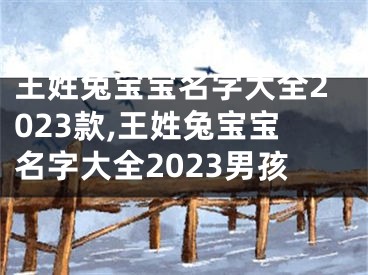 王姓兔宝宝名字大全2023款,王姓兔宝宝名字大全2023男孩