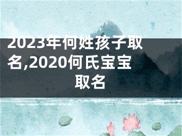 2023年何姓孩子取名,2020何氏宝宝取名