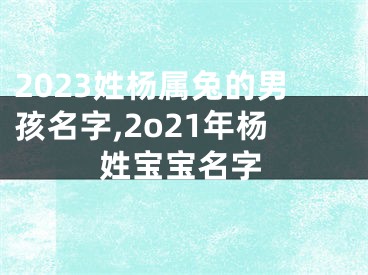 2023姓杨属兔的男孩名字,2o21年杨姓宝宝名字