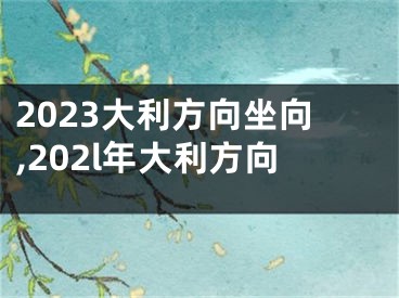 2023大利方向坐向,202l年大利方向