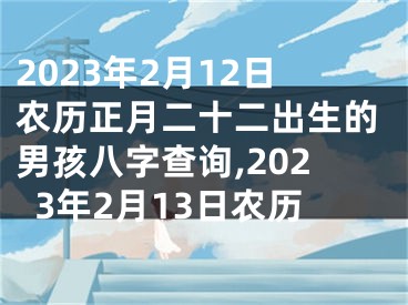 2023年2月12日农历正月二十二出生的男孩八字查询,2023年2月13日农历