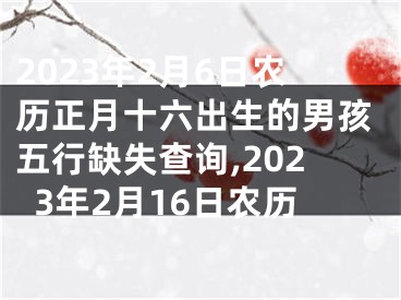 2023年2月6日农历正月十六出生的男孩五行缺失查询,2023年2月16日农历