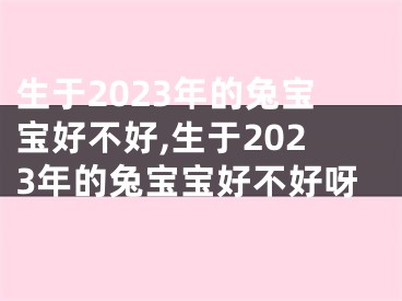 生于2023年的兔宝宝好不好,生于2023年的兔宝宝好不好呀