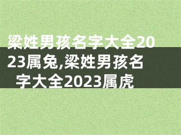 梁姓男孩名字大全2023属兔,梁姓男孩名字大全2023属虎