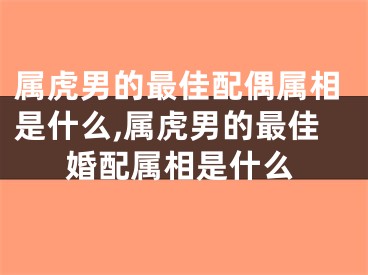 属虎男的最佳配偶属相是什么,属虎男的最佳婚配属相是什么