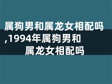 属狗男和属龙女相配吗,1994年属狗男和属龙女相配吗