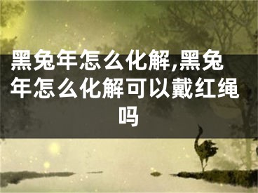 黑兔年怎么化解,黑兔年怎么化解可以戴红绳吗