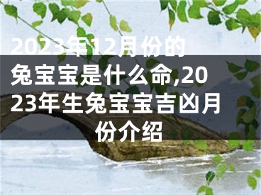 2023年12月份的兔宝宝是什么命,2023年生兔宝宝吉凶月份介绍