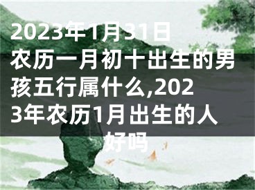 2023年1月31日农历一月初十出生的男孩五行属什么,2023年农历1月出生的人好吗