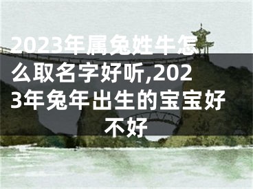 2023年属兔姓牛怎么取名字好听,2023年兔年出生的宝宝好不好