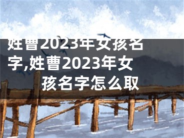 姓曹2023年女孩名字,姓曹2023年女孩名字怎么取