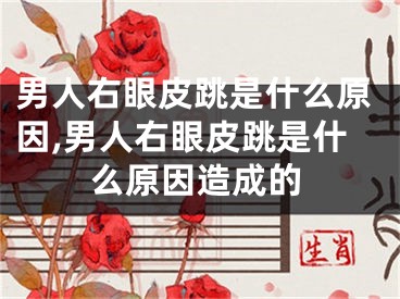 男人右眼皮跳是什么原因,男人右眼皮跳是什么原因造成的