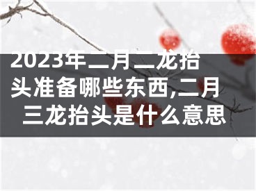 2023年二月二龙抬头准备哪些东西,二月三龙抬头是什么意思