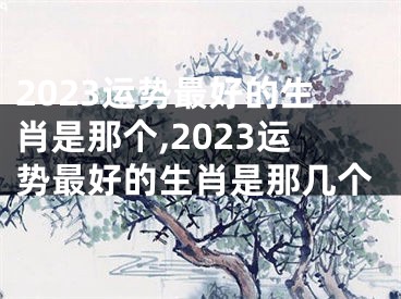 2023运势最好的生肖是那个,2023运势最好的生肖是那几个