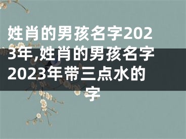 姓肖的男孩名字2023年,姓肖的男孩名字2023年带三点水的字