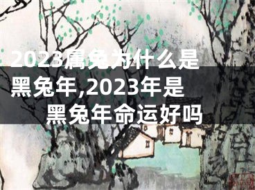 2023属兔为什么是黑兔年,2023年是黑兔年命运好吗