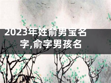 2023年姓俞男宝名字,俞字男孩名