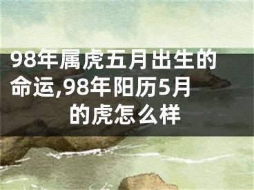 98年属虎五月出生的命运,98年阳历5月的虎怎么样