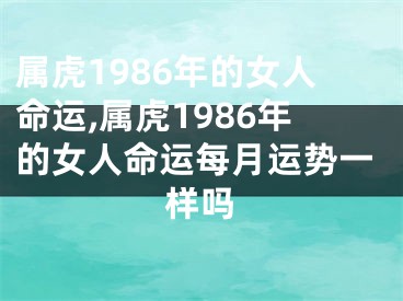 属虎1986年的女人命运,属虎1986年的女人命运每月运势一样吗