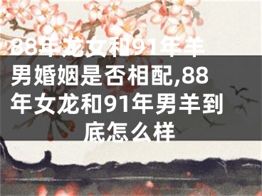 88年龙女和91年羊男婚姻是否相配,88年女龙和91年男羊到底怎么样