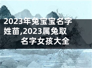 2023年兔宝宝名字姓苗,2023属兔取名字女孩大全