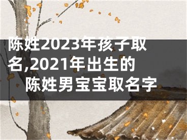 陈姓2023年孩子取名,2021年出生的陈姓男宝宝取名字