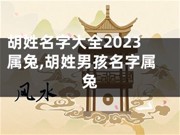 胡姓名字大全2023属兔,胡姓男孩名字属兔