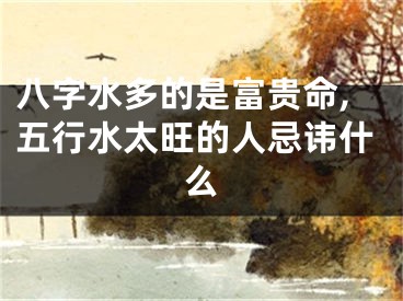 八字水多的是富贵命,五行水太旺的人忌讳什么