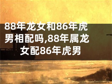 88年龙女和86年虎男相配吗,88年属龙女配86年虎男