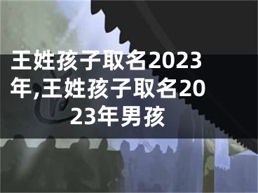 王姓孩子取名2023年,王姓孩子取名2023年男孩