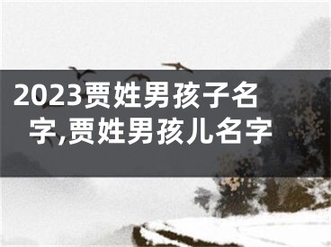 2023贾姓男孩子名字,贾姓男孩儿名字