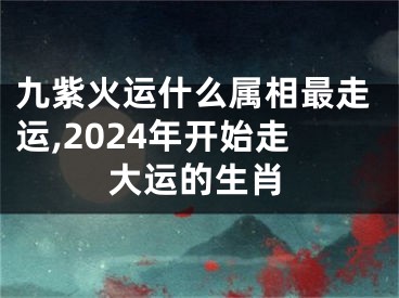 九紫火运什么属相最走运,2024年开始走大运的生肖