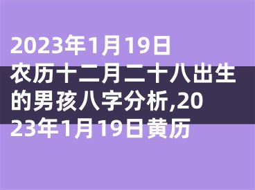 2023年1月19日农历十二月二十八出生的男孩八字分析,2023年1月19日黄历