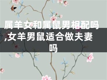 属羊女和属鼠男相配吗,女羊男鼠适合做夫妻吗