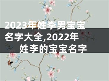 2023年姓李男宝宝名字大全,2022年姓李的宝宝名字