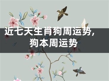 近七天生肖狗周运势,狗本周运势